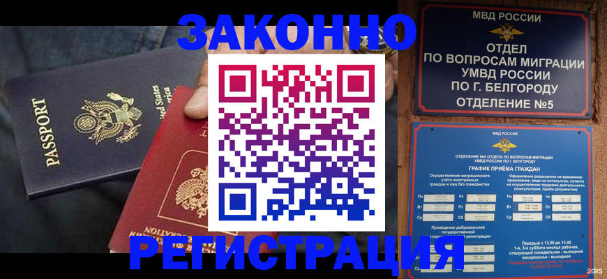 прописка законно в Ковылкино